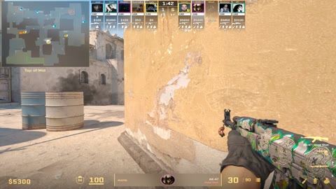 Clip #18782