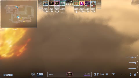 Clip #18809