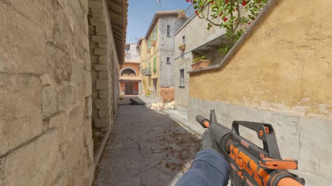 Clip #19171