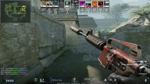 Clip #19184