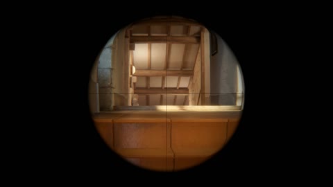 Clip #19263
