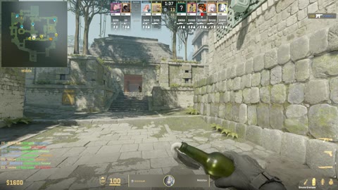 Clip #19290