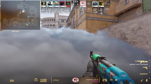 Clip #19378