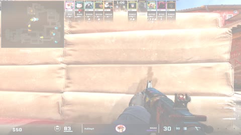Clip #19381
