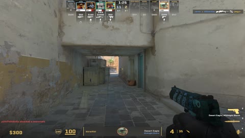 Clip #19460