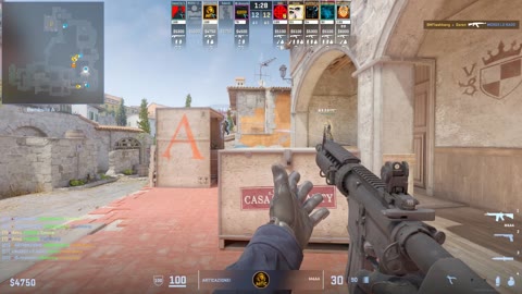 Clip #19502