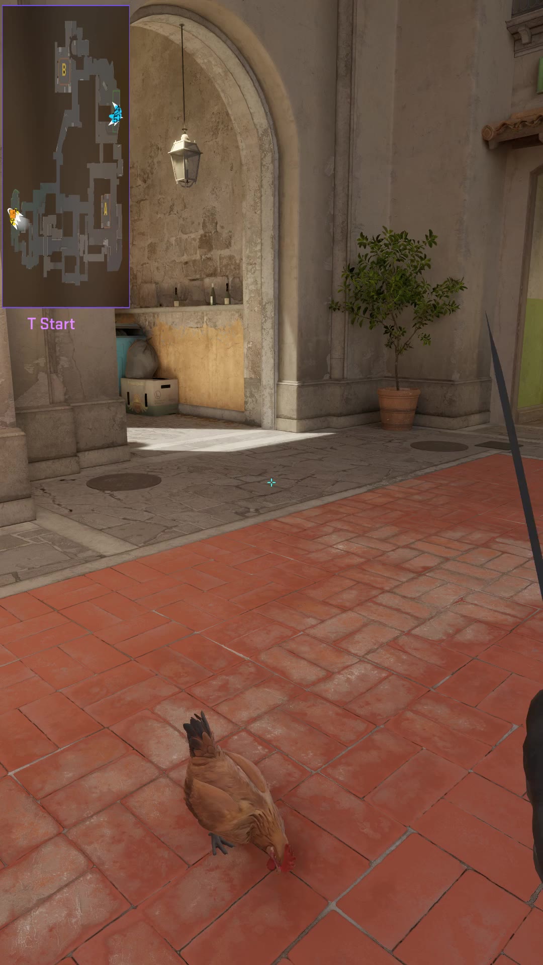Clip #19586