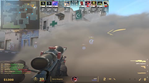 Clip #20314