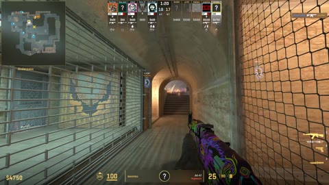 Clip #20371