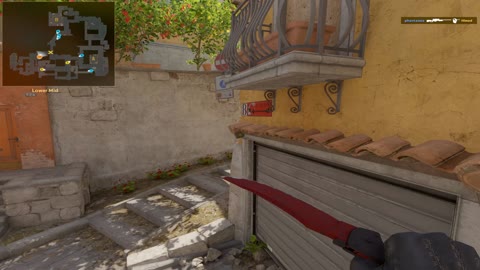 Clip #20971