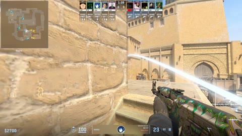 Clip #21065