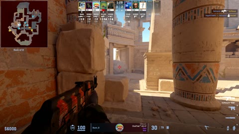 Clip #21248