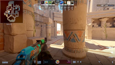 Clip #21249
