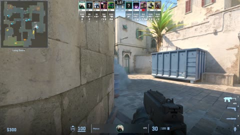 Clip #21362