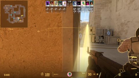 Clip #21398