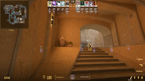 Clip #21602