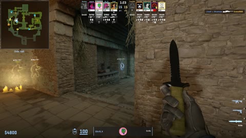 Clip #22105
