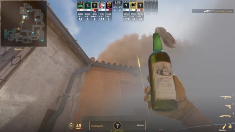 Clip #22247
