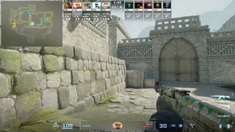 Clip #22316