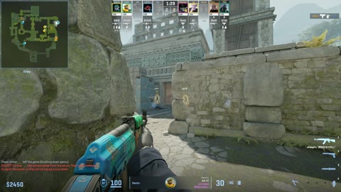 Clip #22445