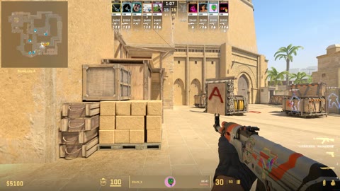 Clip #22843