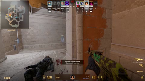 Clip #22875
