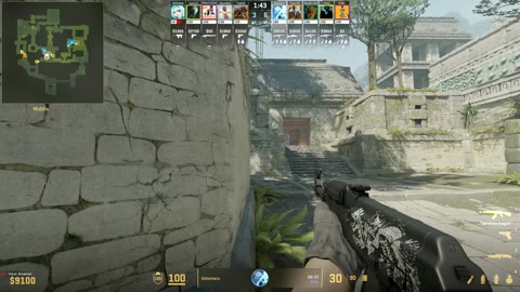 Clip #22898