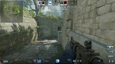 Clip #22916