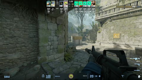 Clip #23102