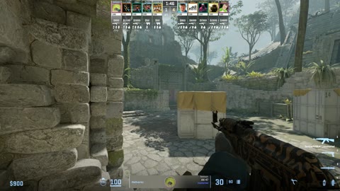 Clip #23721