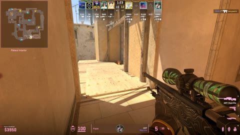 Clip #23998