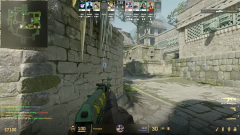 Clip #24211