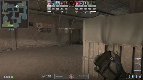 Clip #24382