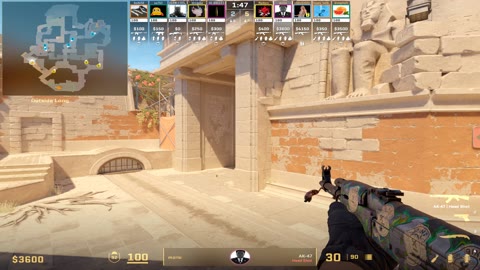 Clip #24798
