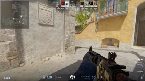 Clip #25030