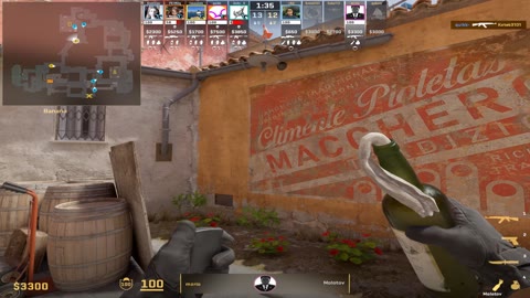 Clip #25481