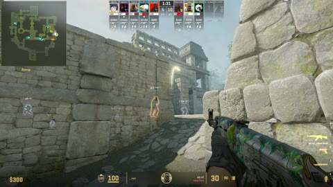 Clip #25745