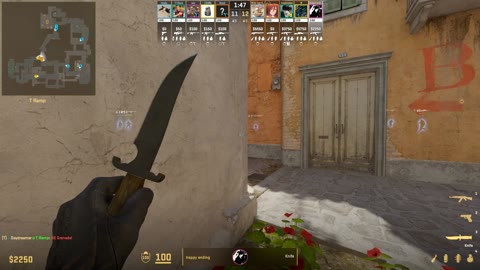 Clip #25755