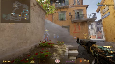 Clip #26296