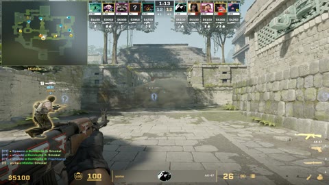 Clip #26624