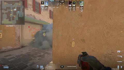 Clip #27230