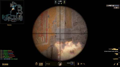 Clip #27313