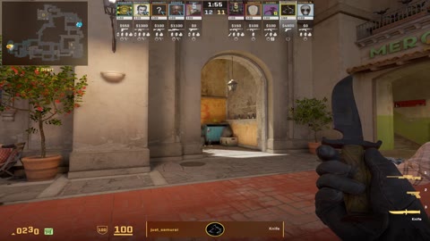Clip #28485