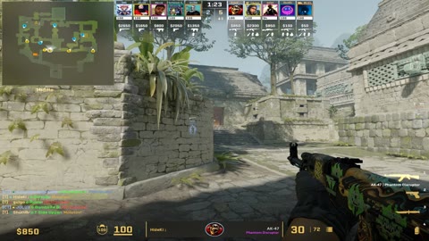 Clip #29008