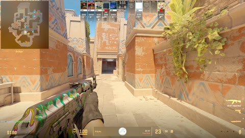 Clip #29076