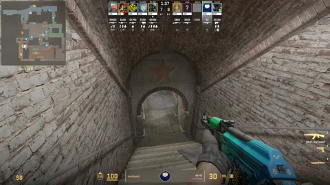 Clip #29131
