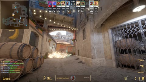 Clip #29206