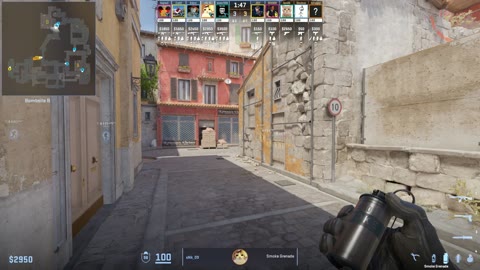Clip #29295