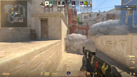 Clip #29483