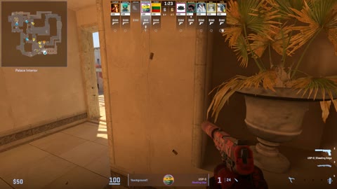 Clip #29596